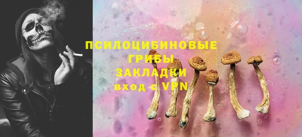 гашик Краснотурьинск